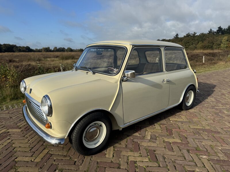 Austin Mini Special | 1983